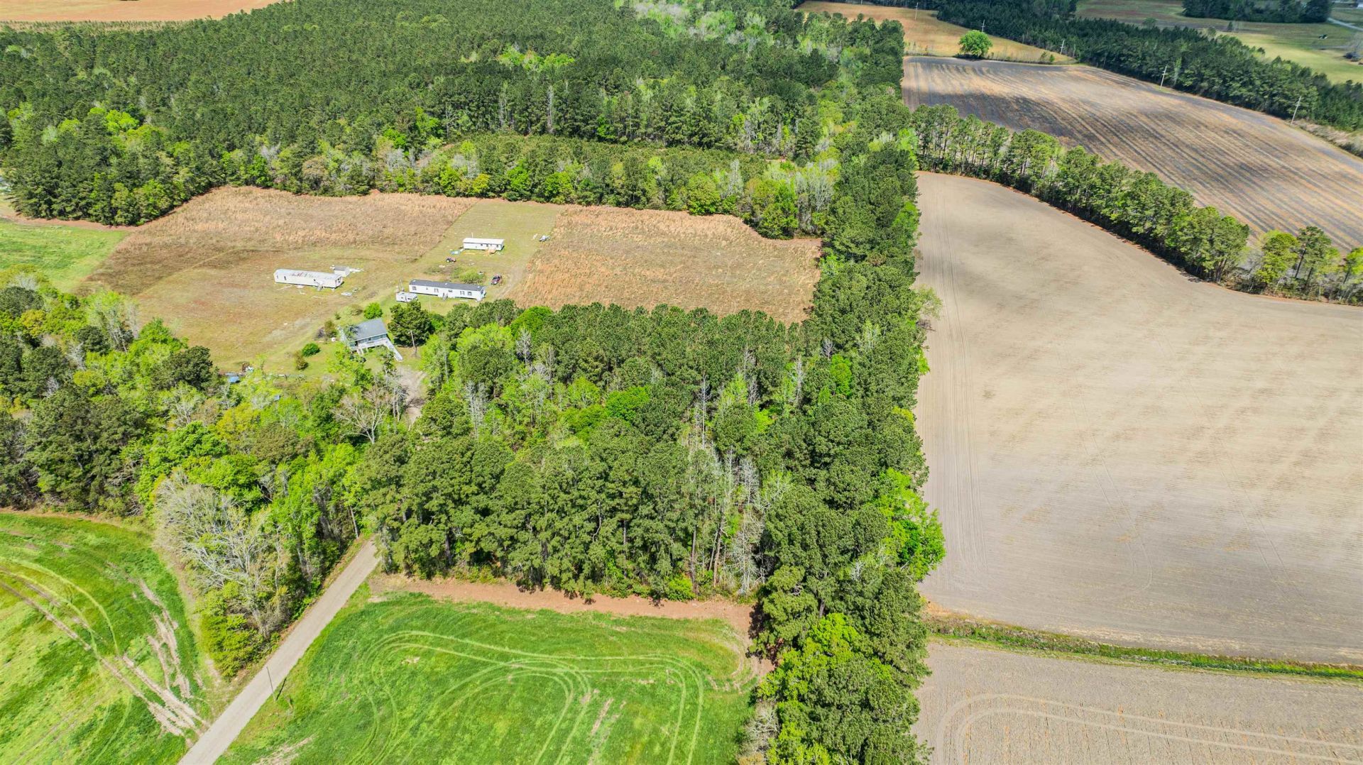 6.5 Acres Christine Pl. Photo 5