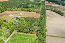 6.5 Acres Christine Pl. photo 4