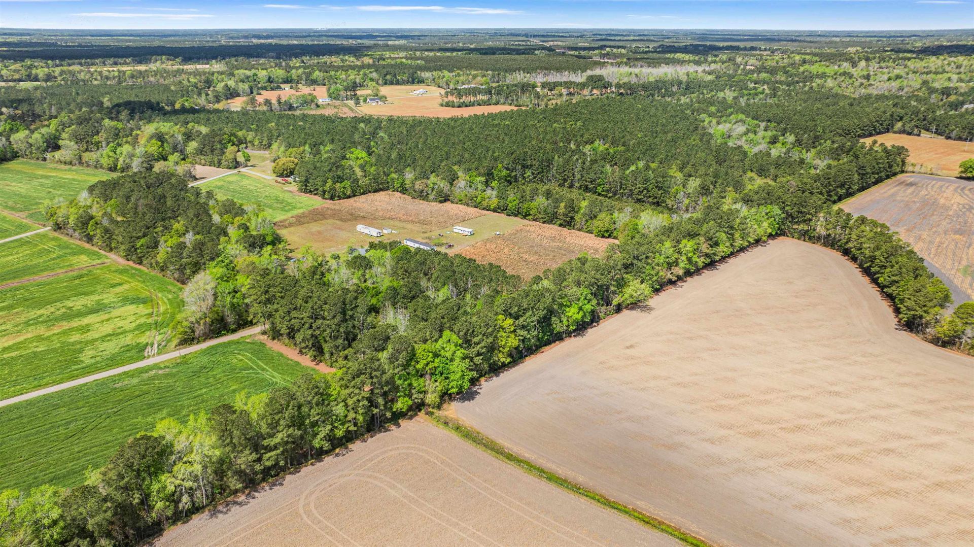 6.5 Acres Christine Pl. Photo 6