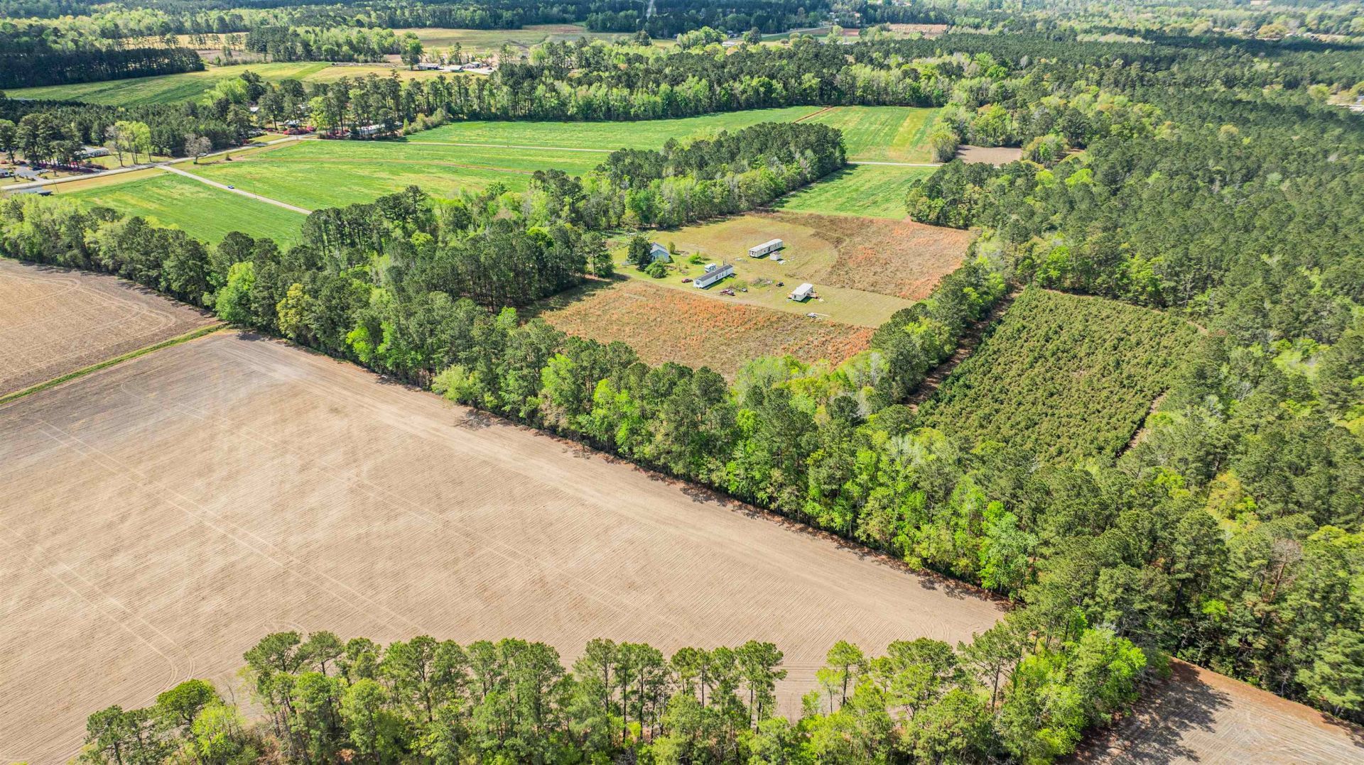 6.5 Acres Christine Pl. Photo 7