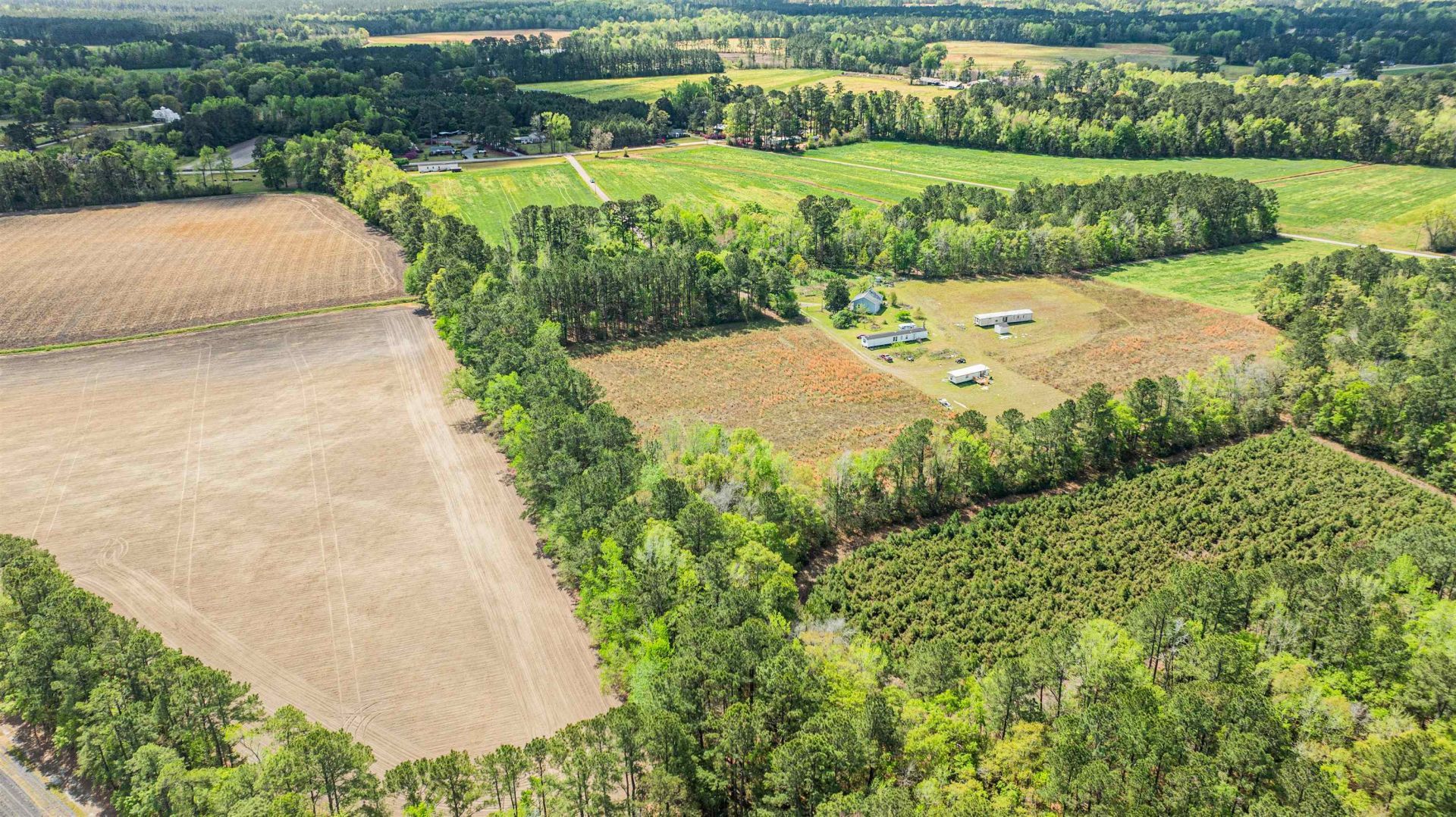 6.5 Acres Christine Pl. Photo 8