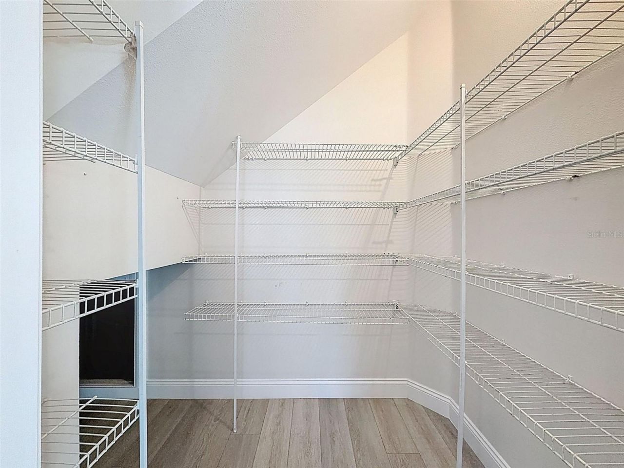 3311 Sisal Loop, Wesley Chapel, FL 33544 Photo