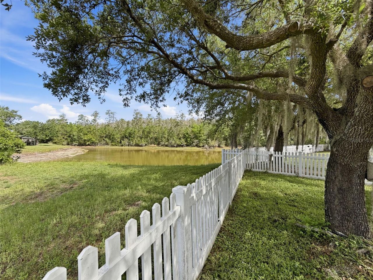 3311 Sisal Loop, Wesley Chapel, FL 33544 Photo