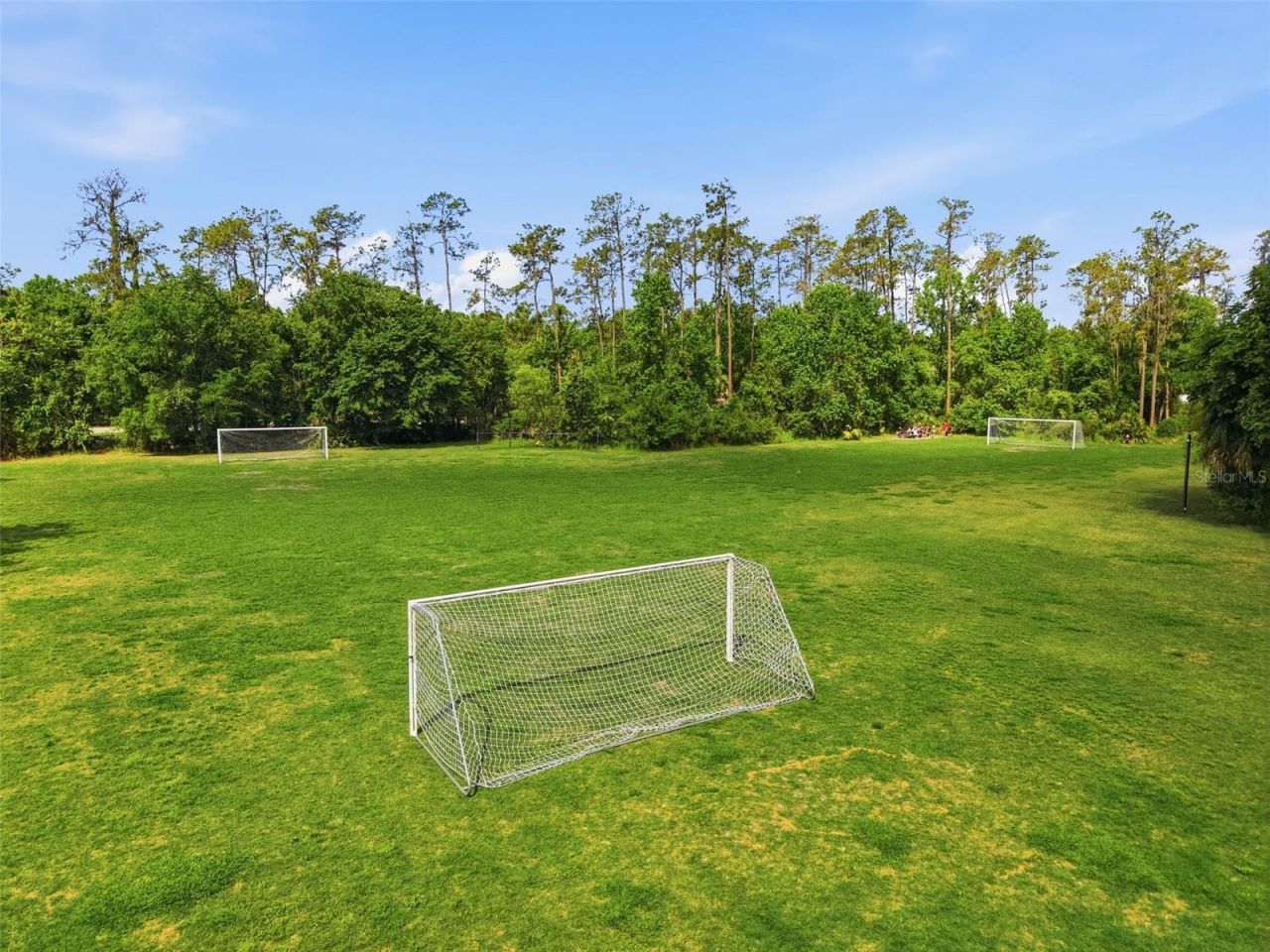 3311 Sisal Loop, Wesley Chapel, FL 33544 Photo