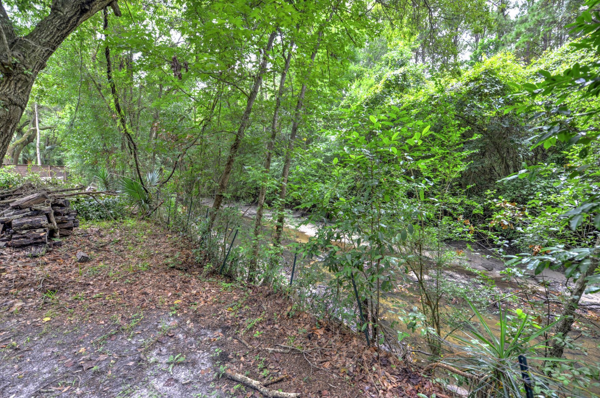 3572 Berryhill Road Photo 30