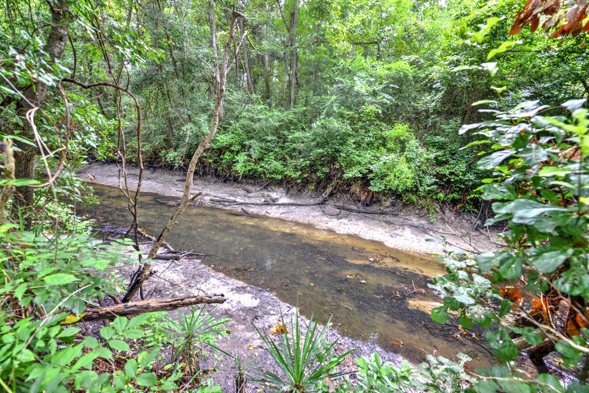 3572 Berryhill Road Photo 31