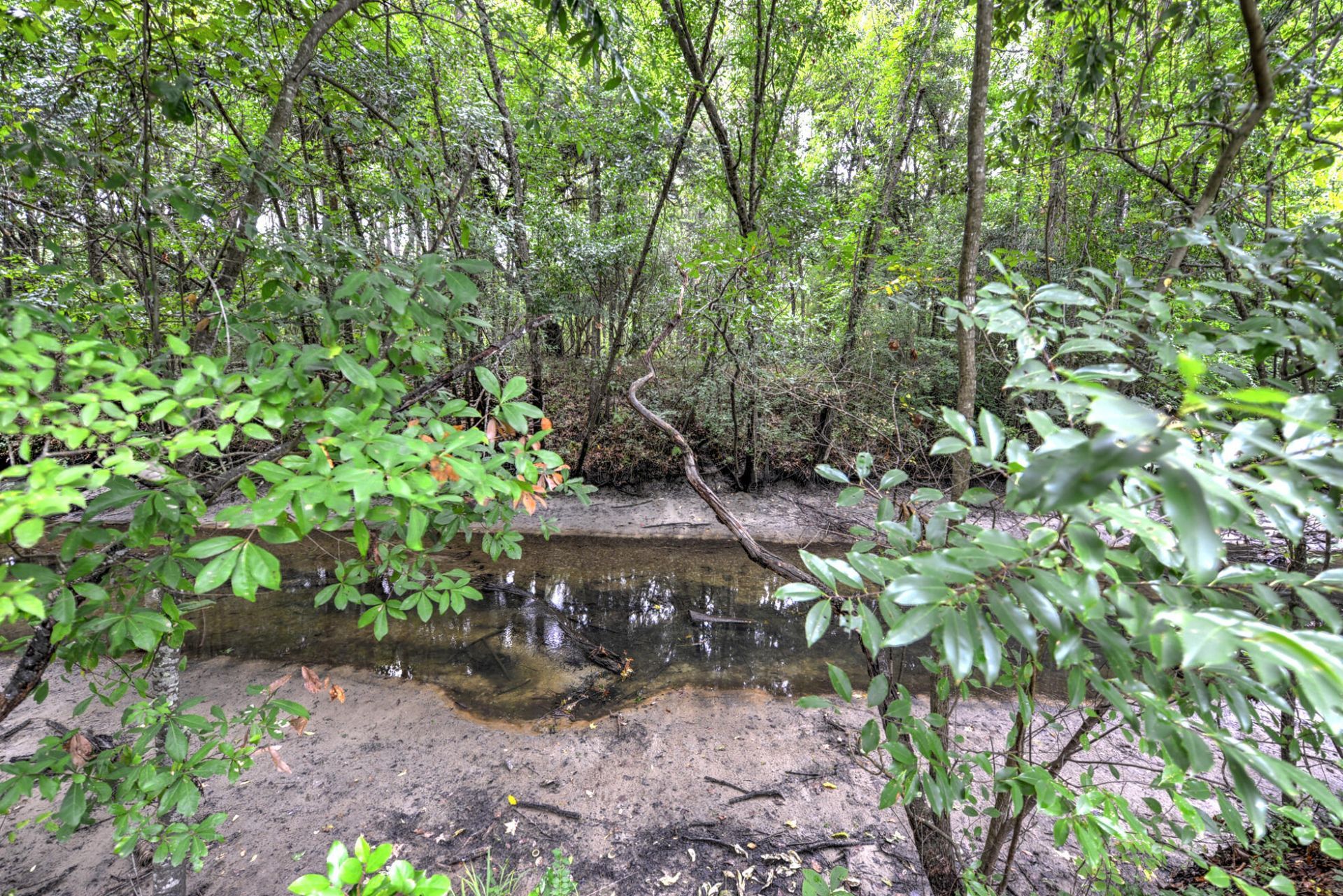 3572 Berryhill Road Photo 32