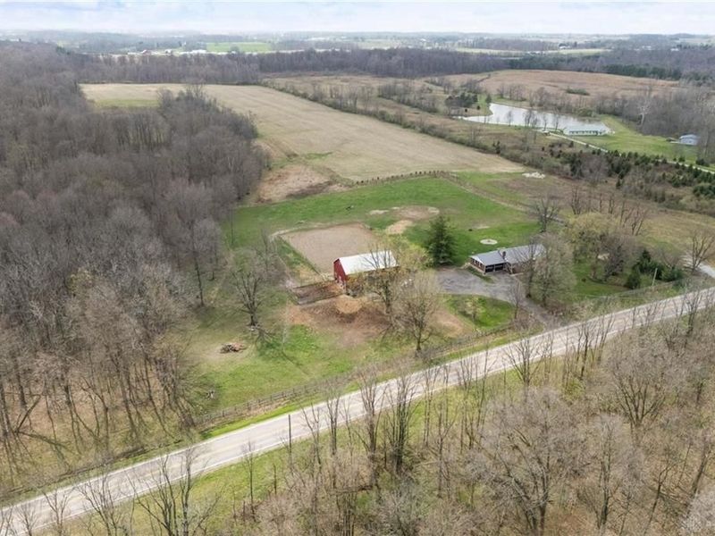 9563 Ward Road, Saint Paris, OH 43072 Photo 51