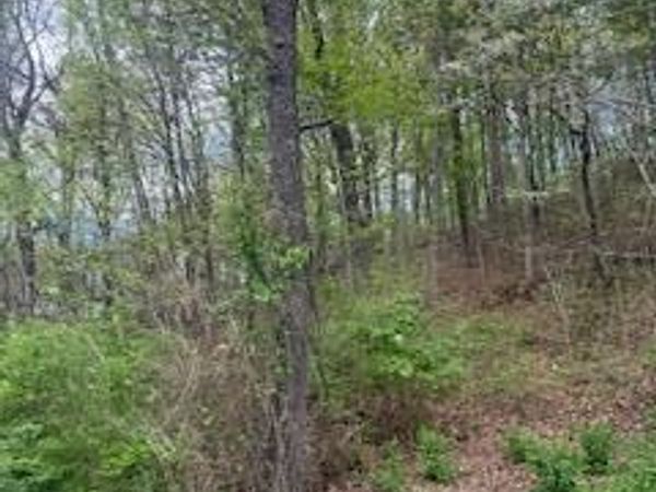 2624 Hixson Pike, Chattanooga, TN 37415