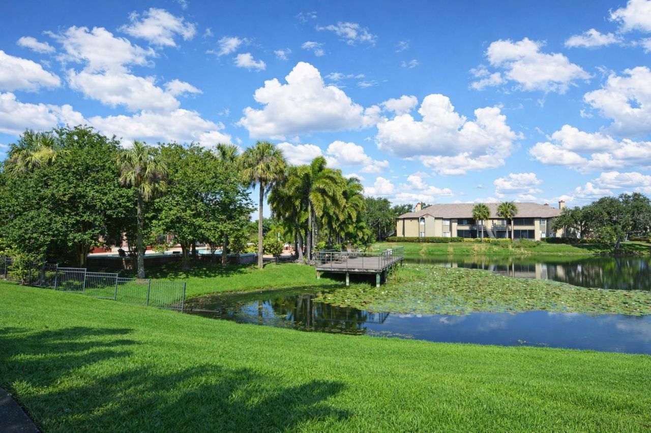 10263 Gandy Boulevard N, Unit 108, Saint Petersburg, FL 33702 Photo