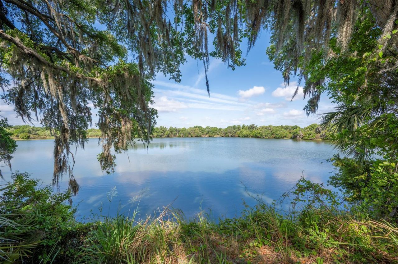 4537 Fairway Oaks Drive , Mulberry, FL 33860 Photo