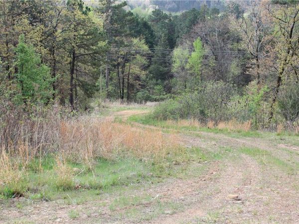 Hog Thief Valley , Magazine, AR 72943