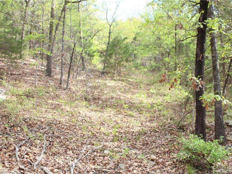 Property Image 19