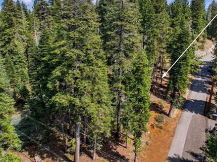 880 Sunny, Homewood, CA 96141 Photo