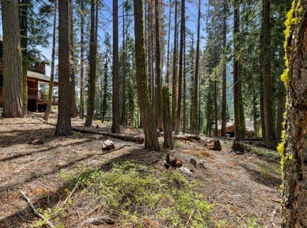 880 Sunny, Homewood, CA 96141 Photo