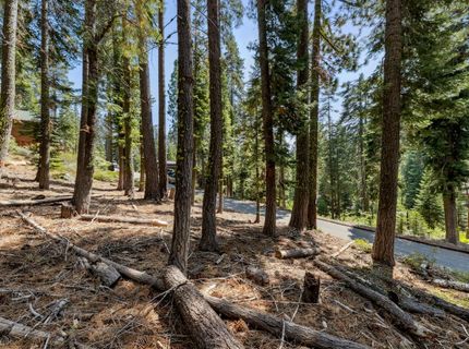 880 Sunny, Homewood, CA 96141 Photo