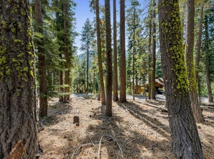 880 Sunny, Homewood, CA 96141 Photo