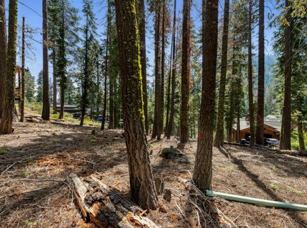 880 Sunny, Homewood, CA 96141 Photo