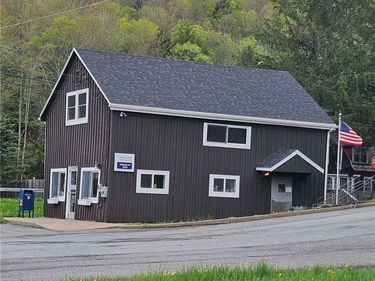 1375 Dimmick Mountain Road, Denver, NY 12455