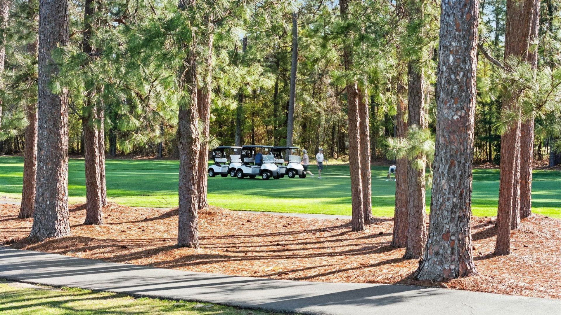 1700 Wood Stork Dr. Photo 38