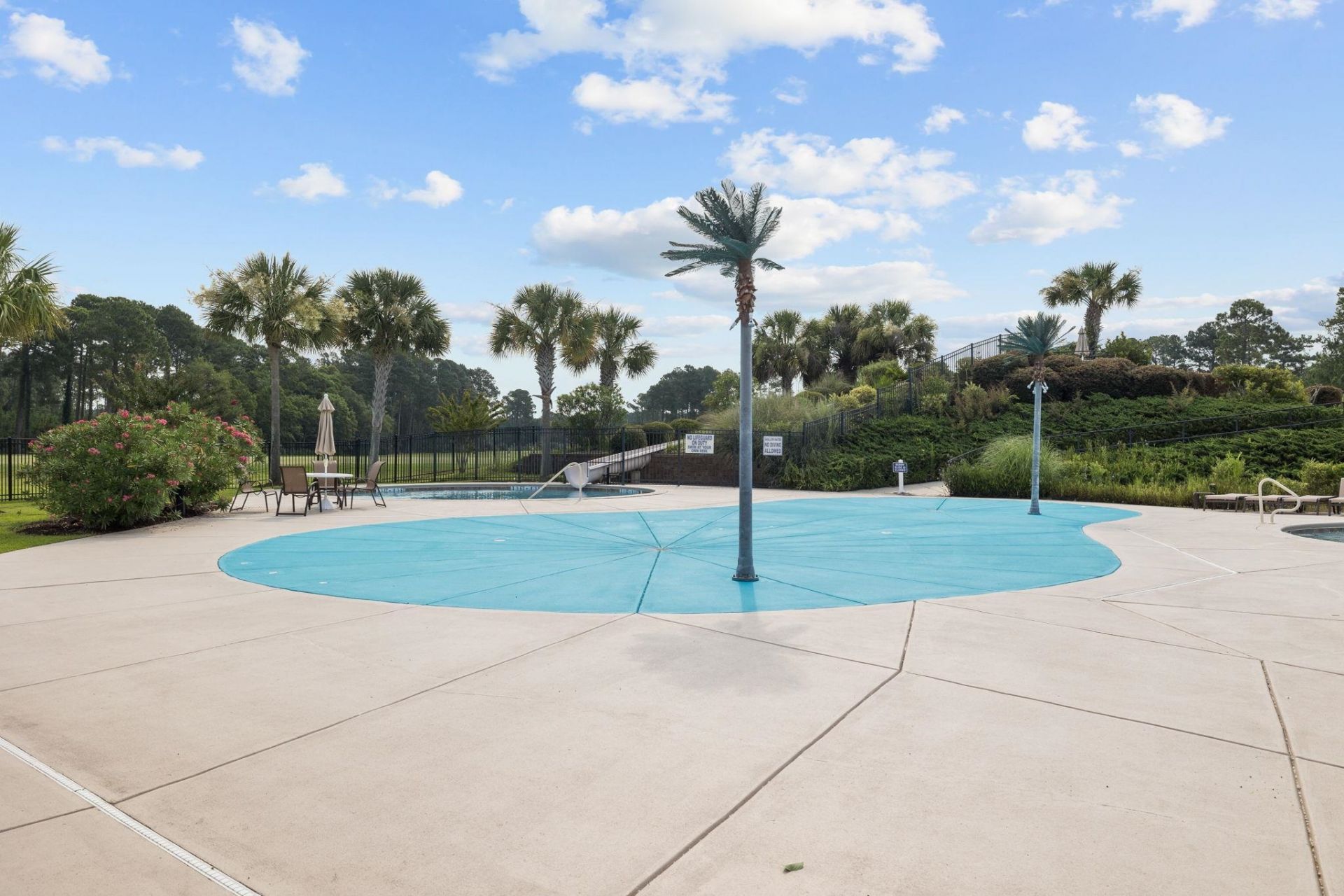 1700 Wood Stork Dr. Photo 48