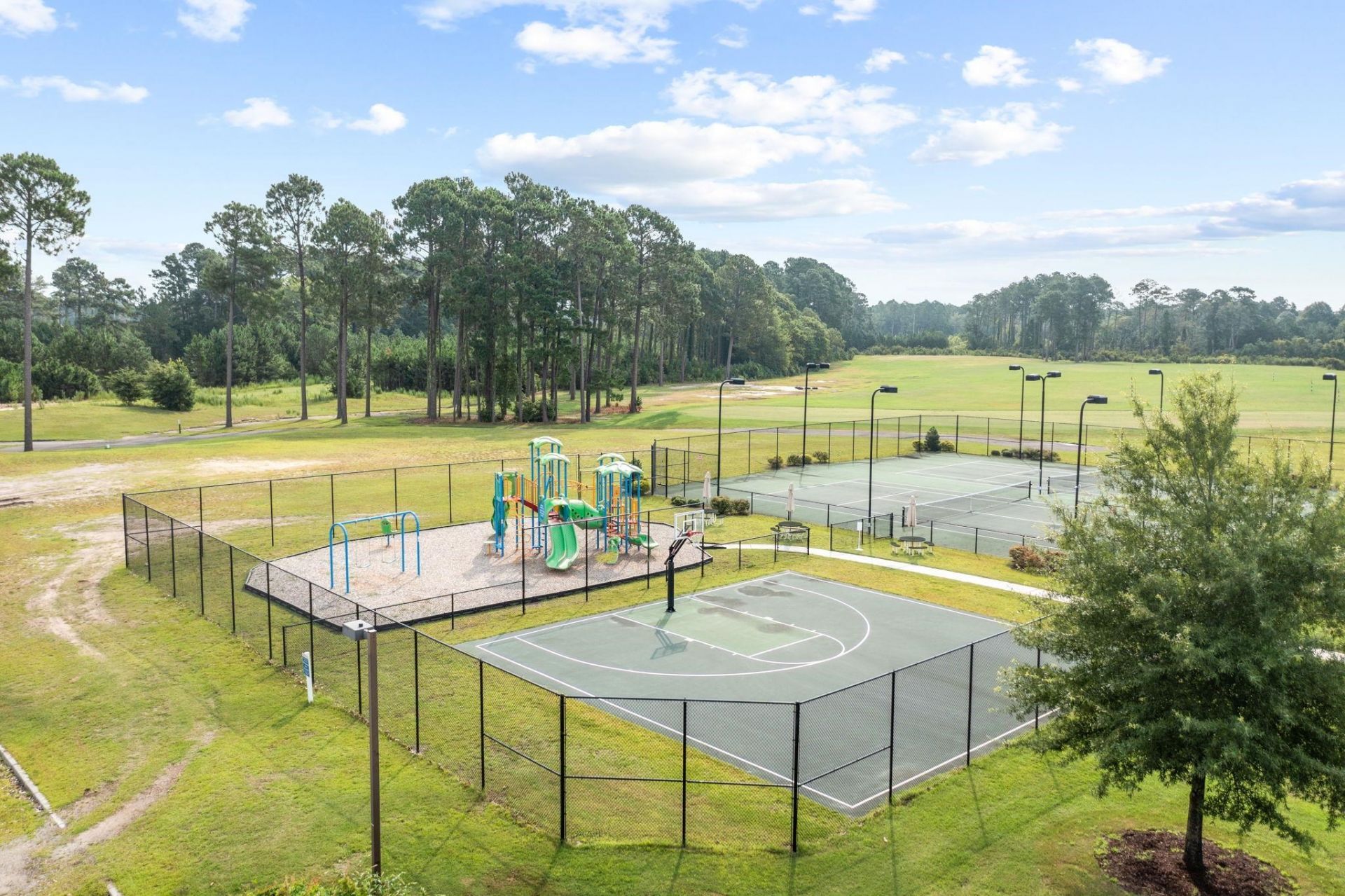 1700 Wood Stork Dr. Photo 51