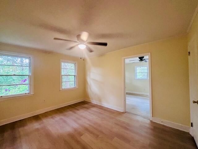 356 Seminole Drive Photo 16