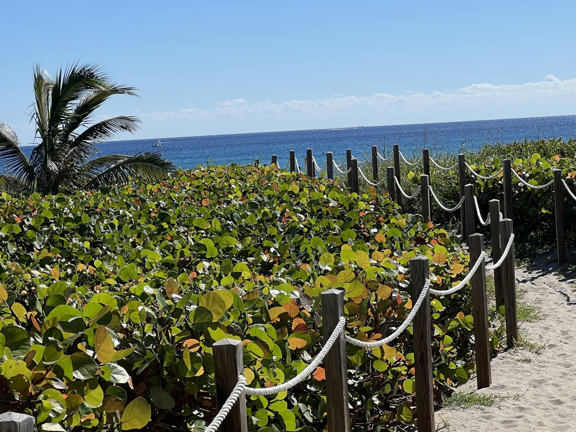 250 S Ocean Boulevard, Unit 274, Delray Beach, FL 33483 Photo