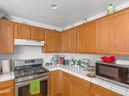 1309 White Ash Drive, Gardnerville, NV 89410 Photo