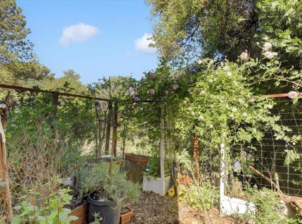 11514 Madrone Ct, Auburn, CA 95602 Photo