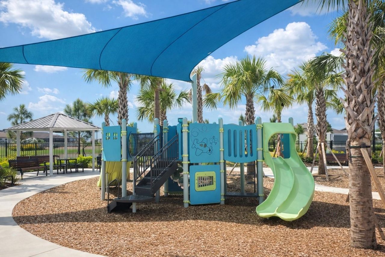 12420 Crystal Jade Way , Parrish, FL 34219 Photo