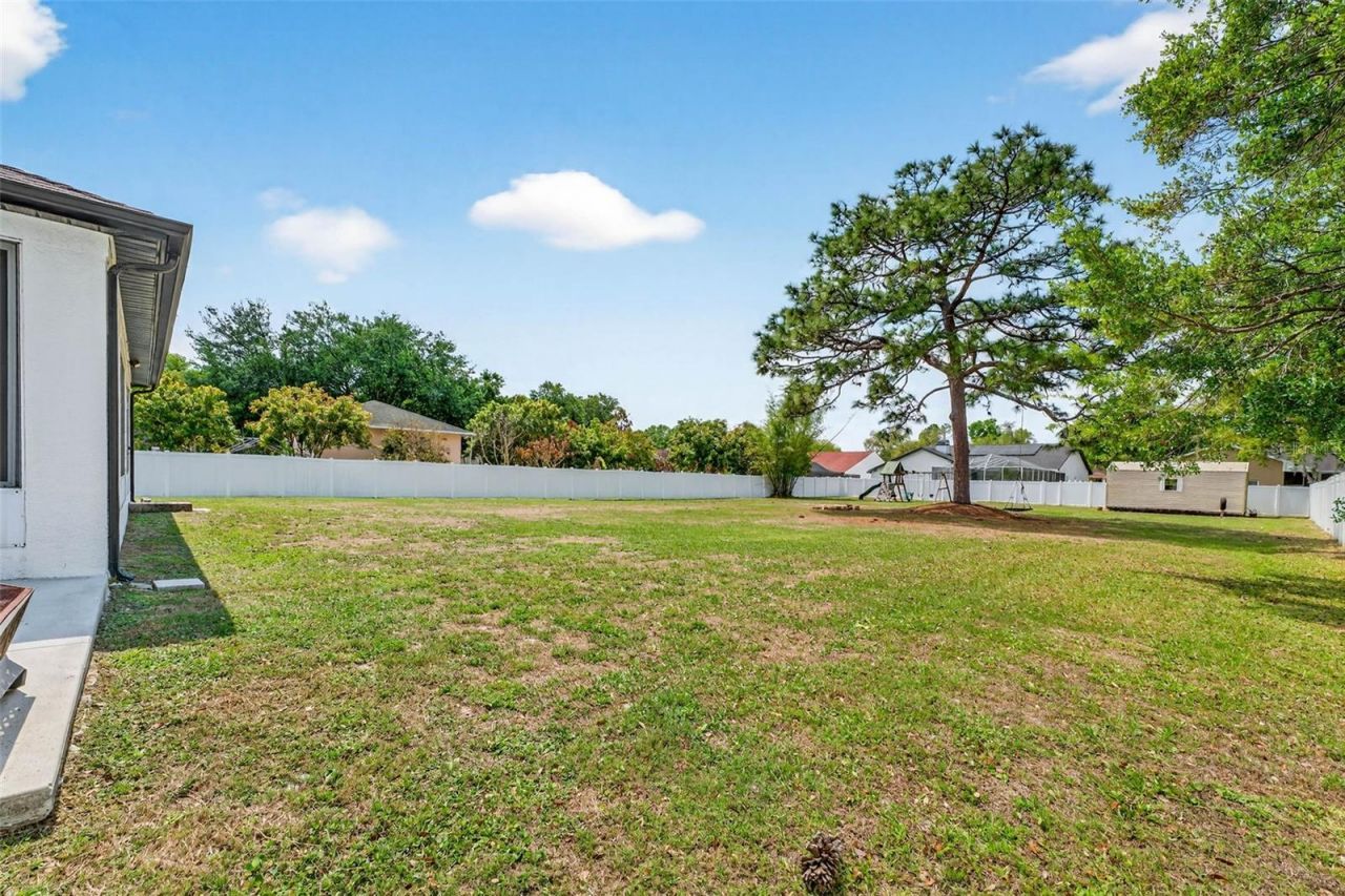 15308 Otto Road, Tampa, FL 33624 Photo