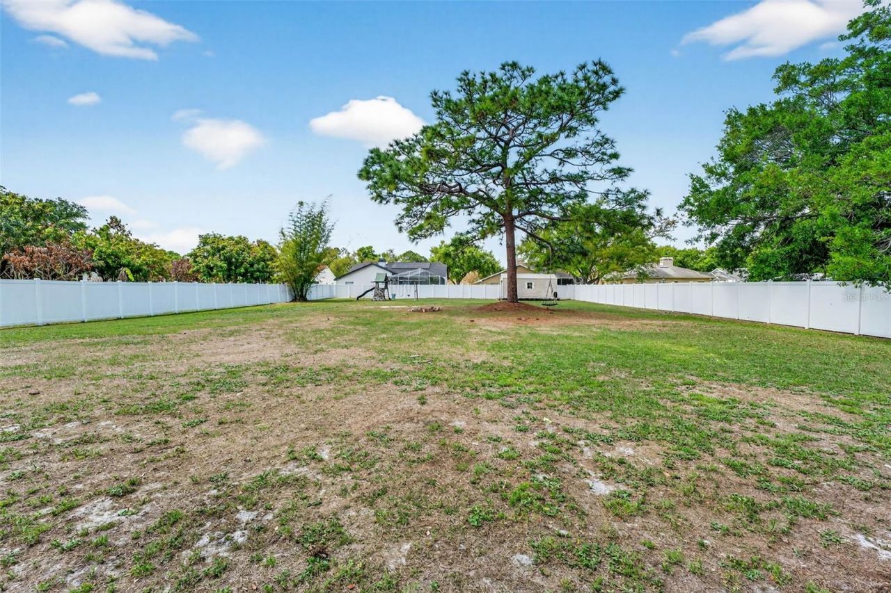 15308 Otto Road, Tampa, FL 33624 Photo