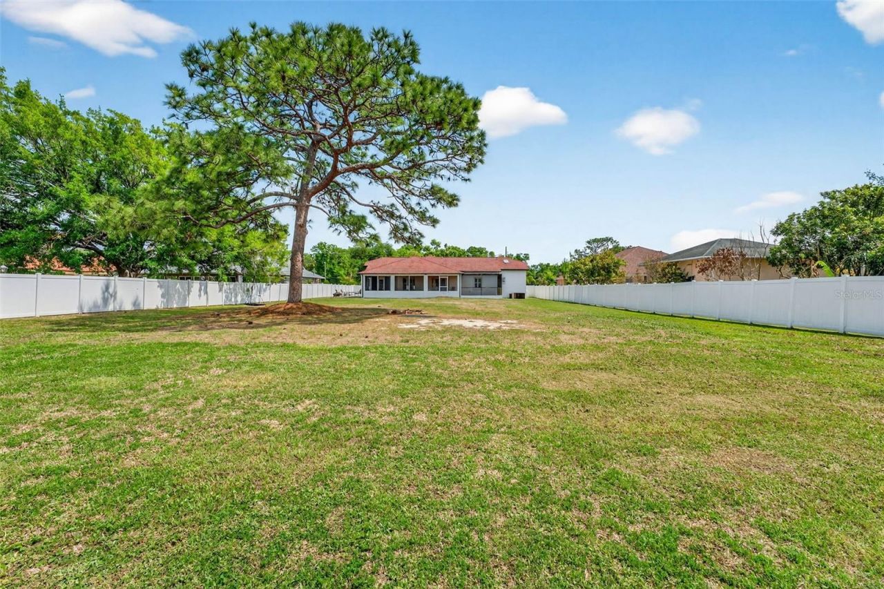 15308 Otto Road, Tampa, FL 33624 Photo