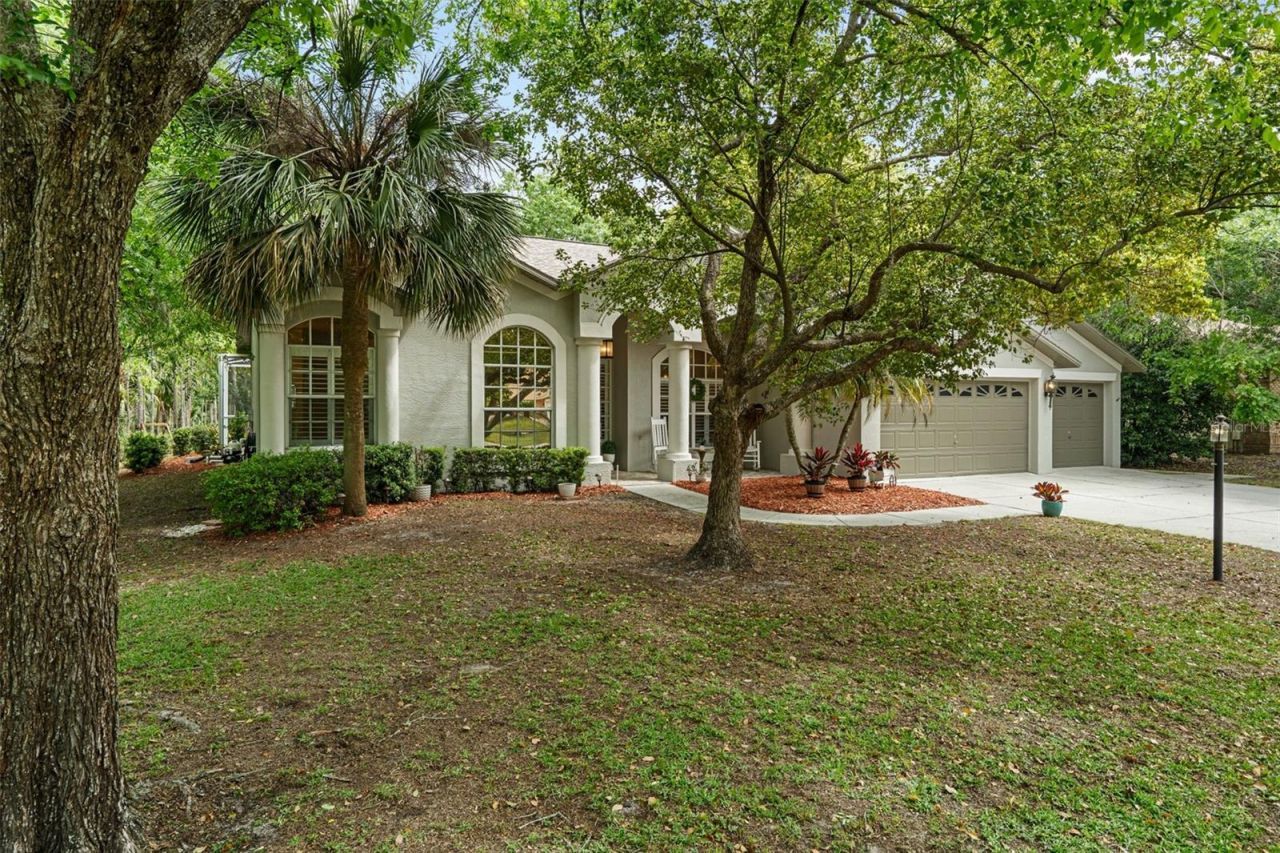 10139 Highcrest Lane, New Port Richey, FL 34654 Photo