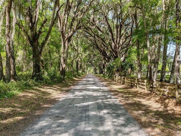 6405 NW 165TH STREET , REDDICK, FL 32686