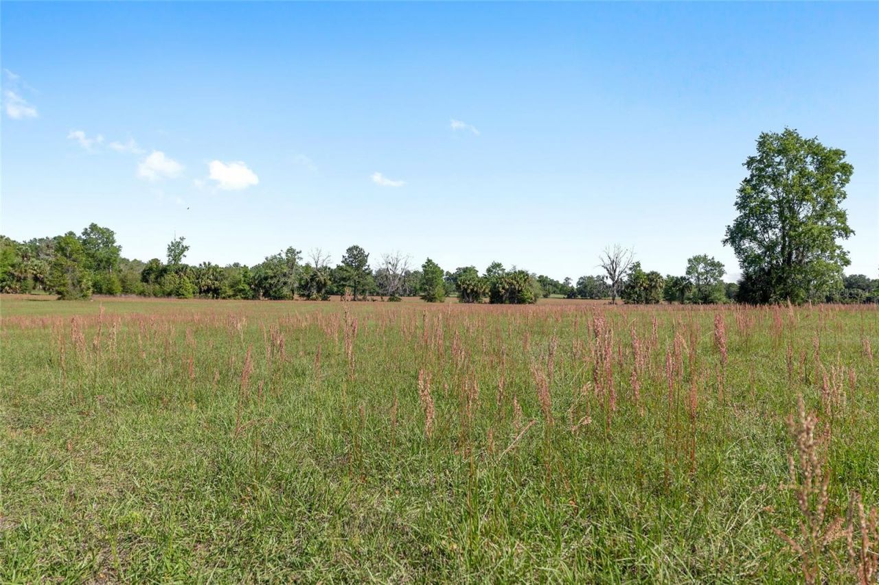 6405 NW 165th Street, Reddick, FL 32686 Photo