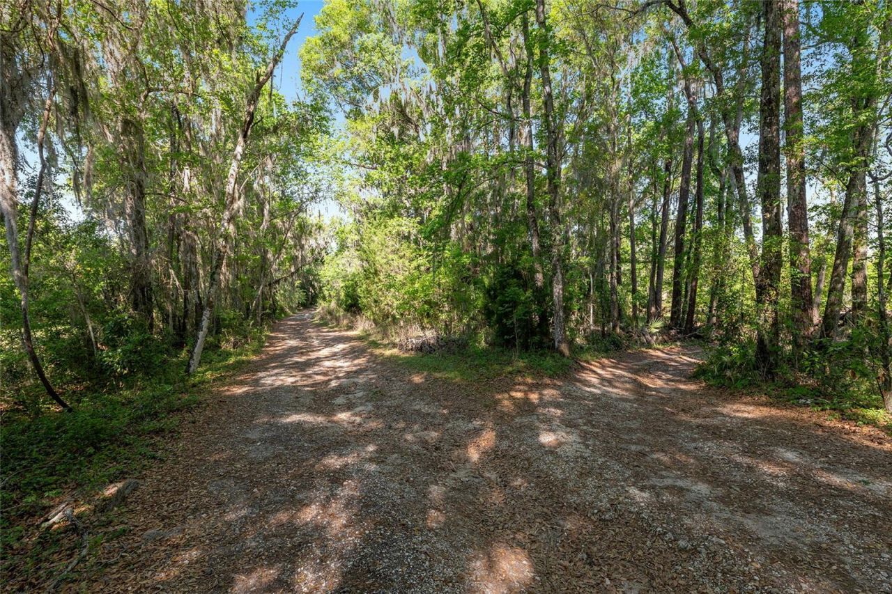 6405 NW 165th Street, Reddick, FL 32686 Photo