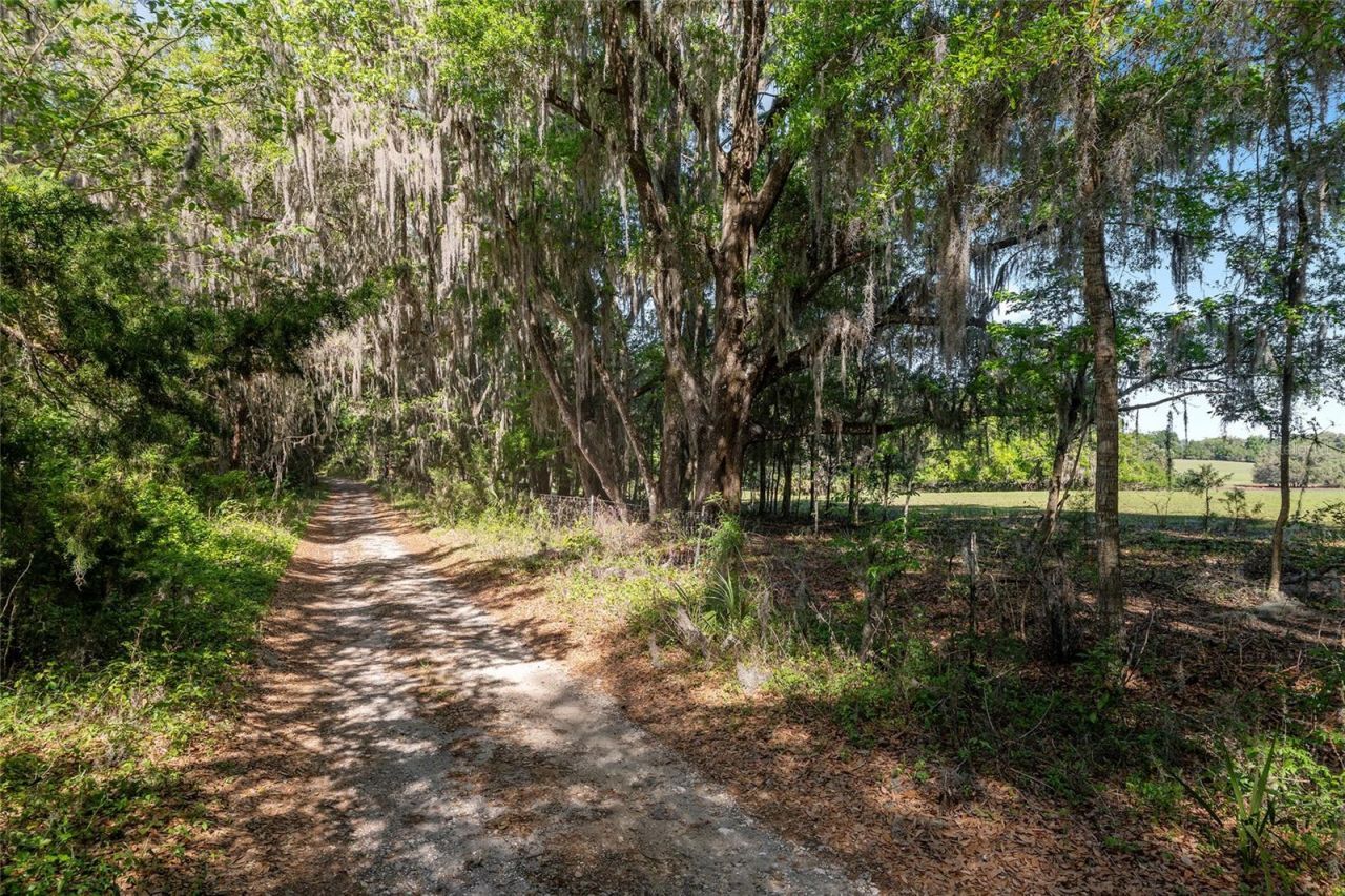 6405 NW 165th Street, Reddick, FL 32686 Photo