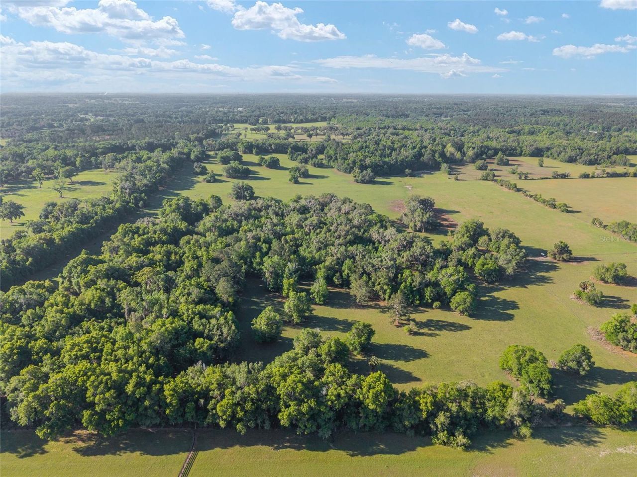 6405 NW 165th Street , Reddick, FL 32686 Photo