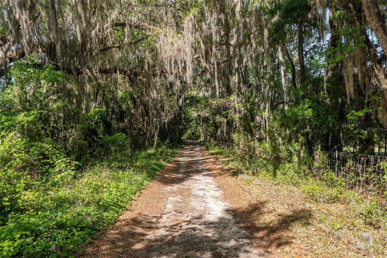 6405 NW 165th Street, Reddick, FL 32686 Photo
