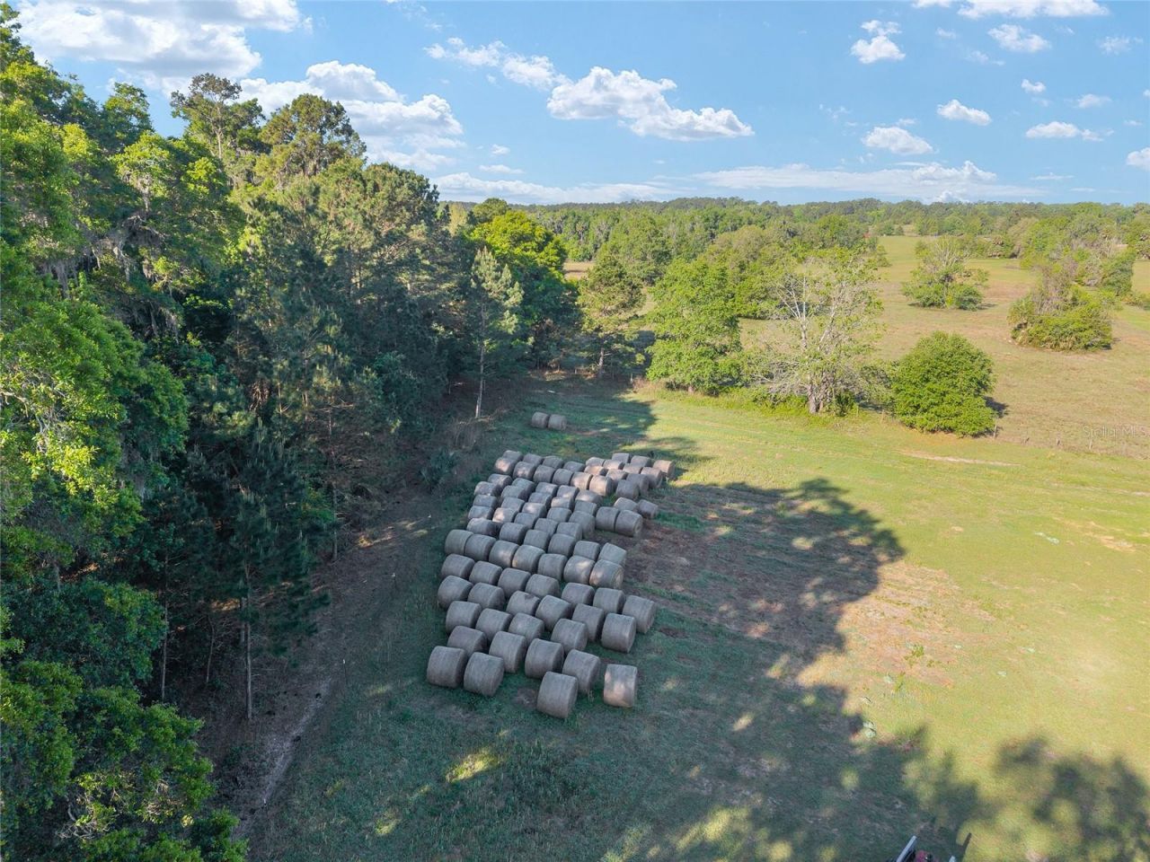 6405 NW 165th Street , Reddick, FL 32686 Photo