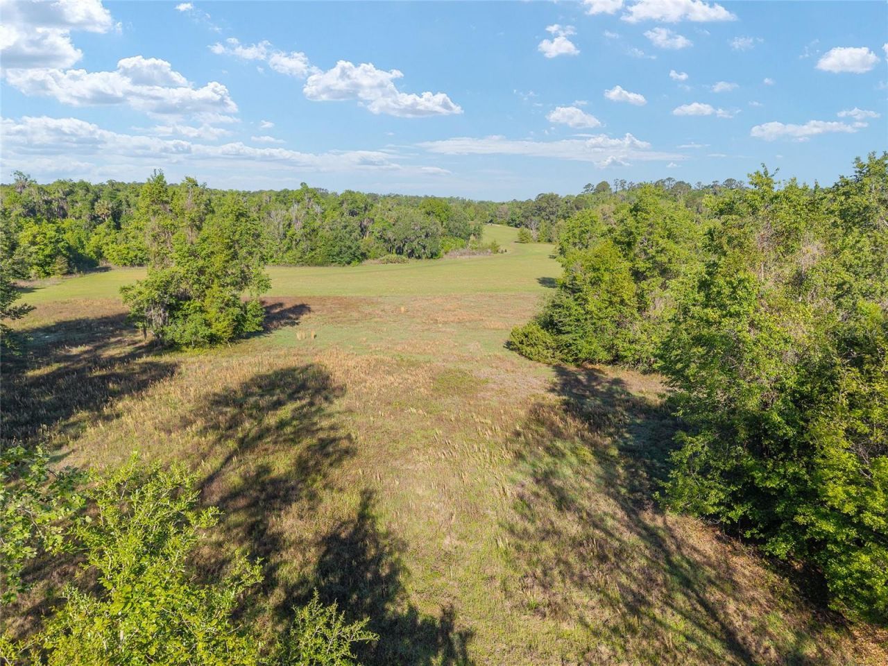 6405 NW 165th Street , Reddick, FL 32686 Photo