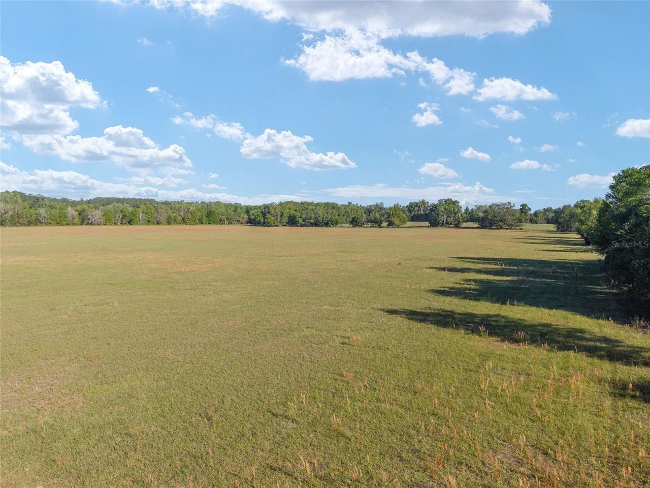 6405 NW 165th Street , Reddick, FL 32686 Photo