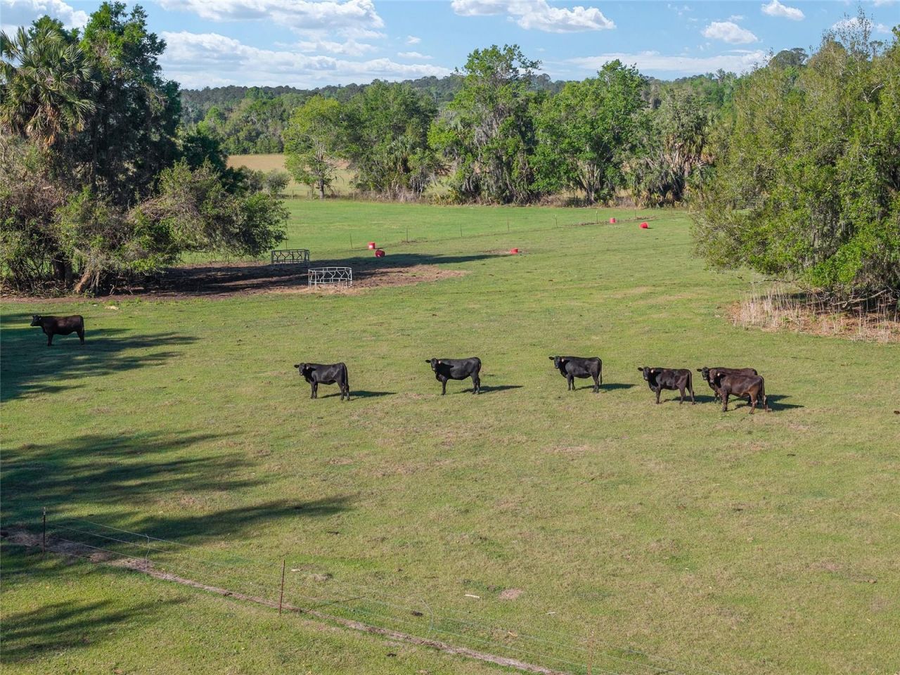 6405 NW 165th Street , Reddick, FL 32686 Photo