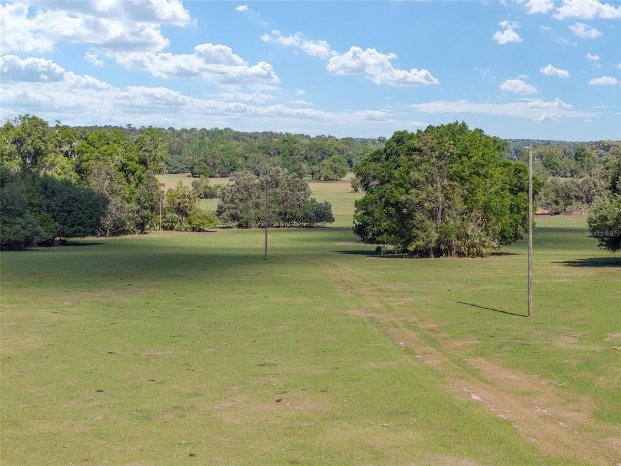 6405 NW 165th Street , Reddick, FL 32686 Photo