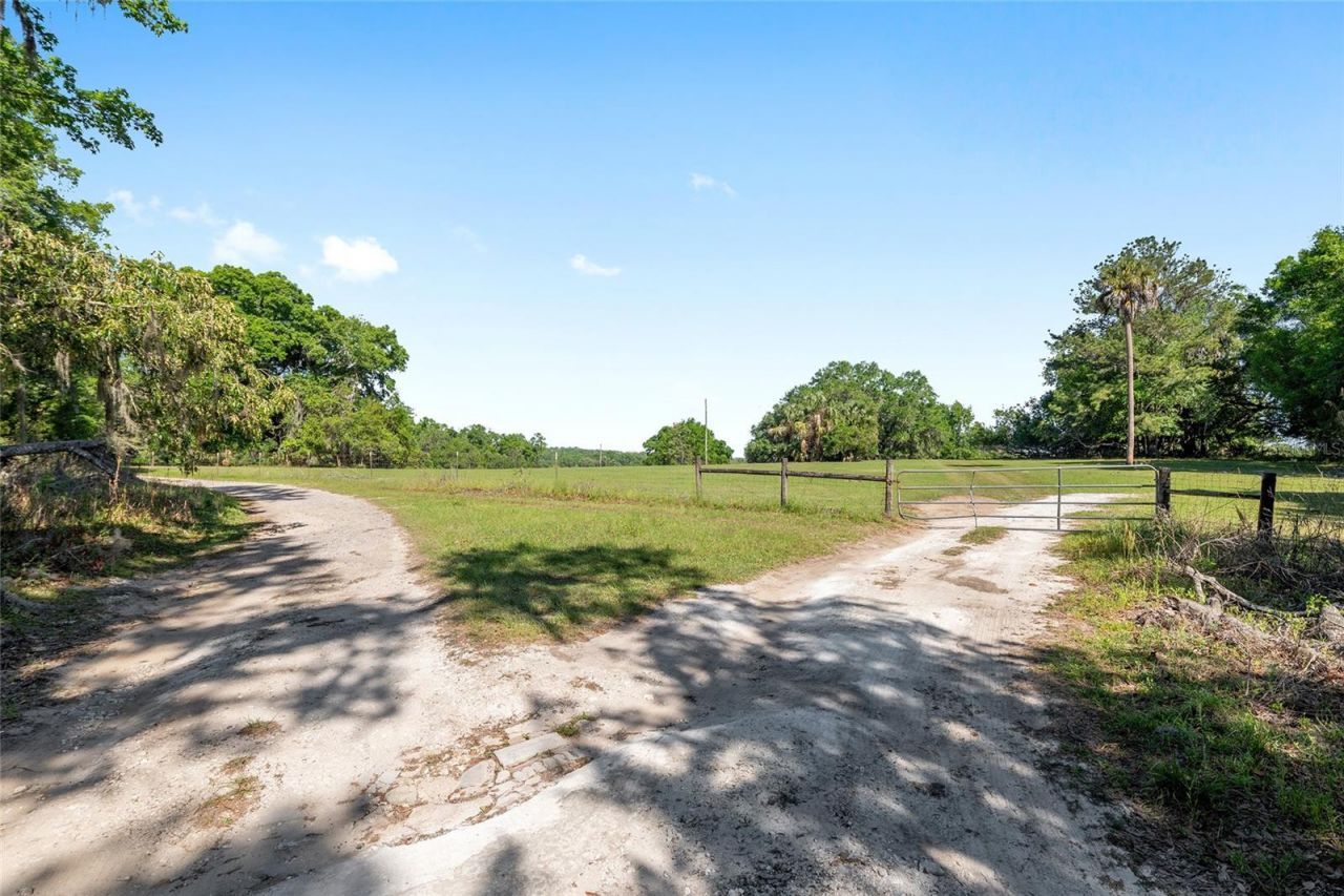 6405 NW 165th Street, Reddick, FL 32686 Photo
