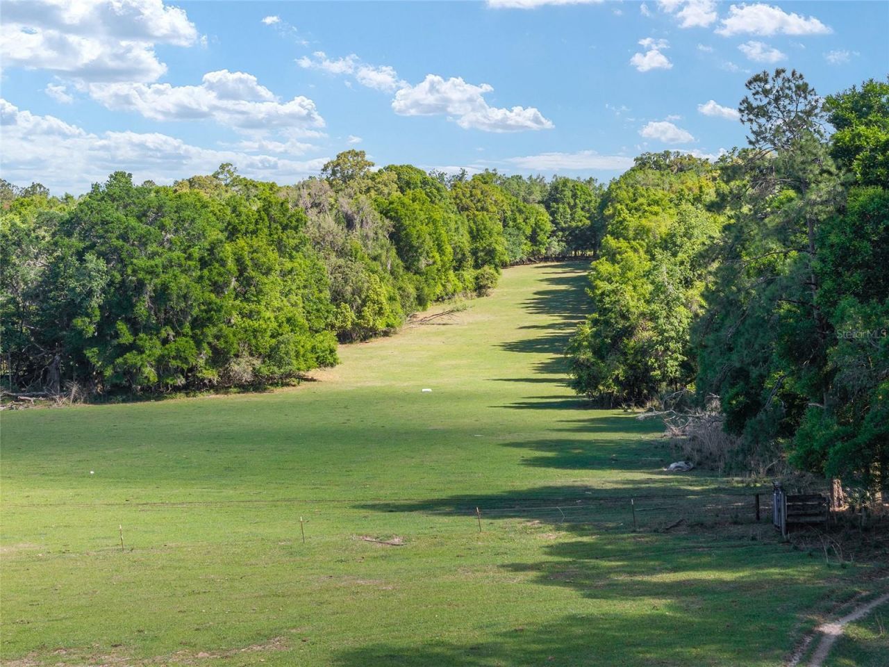 6405 NW 165th Street , Reddick, FL 32686 Photo