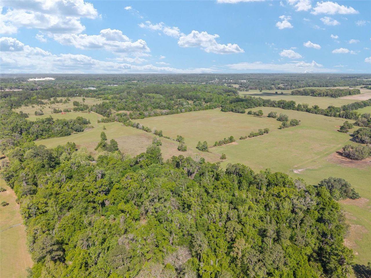 6405 NW 165th Street , Reddick, FL 32686 Photo