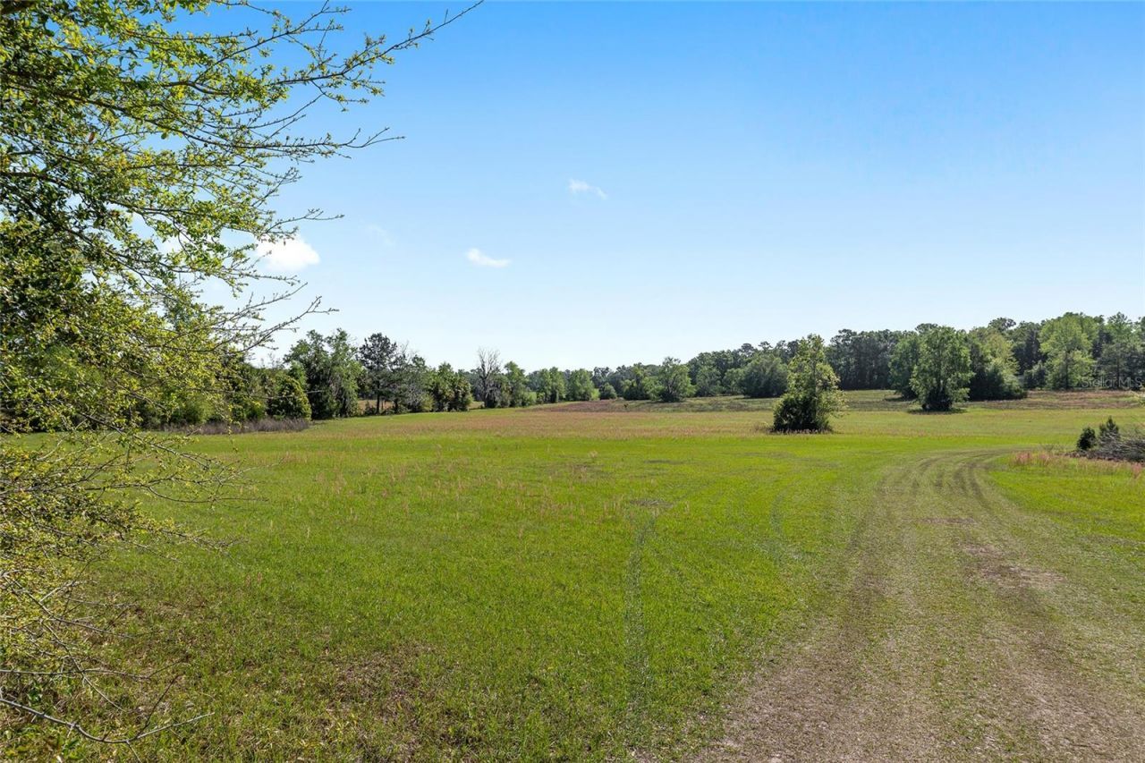 6405 NW 165th Street , Reddick, FL 32686 Photo